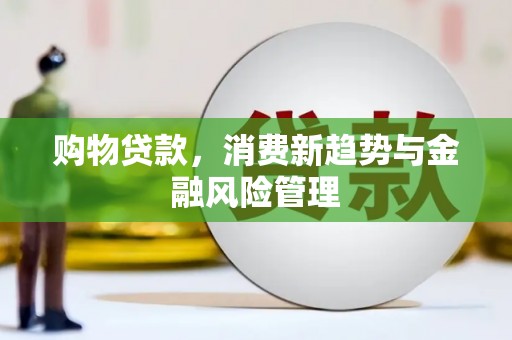 蚌埠购物贷款，消费新趋势与金融风险管理