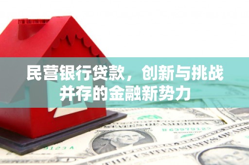 蚌埠民营银行贷款，创新与挑战并存的金融新势力