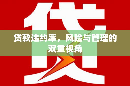 蚌埠贷款违约率，风险与管理的双重视角