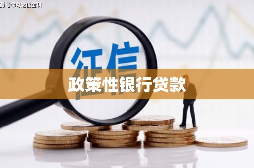蚌埠政策性银行贷款