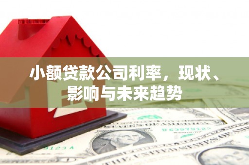 蚌埠小额贷款公司利率，现状、影响与未来趋势