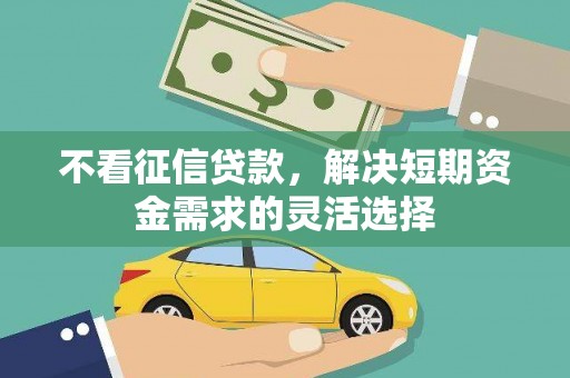 蚌埠不看征信贷款，解决短期资金需求的灵活选择