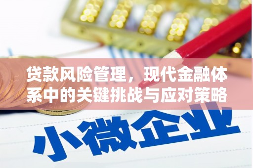 蚌埠贷款风险管理，现代金融体系中的关键挑战与应对策略