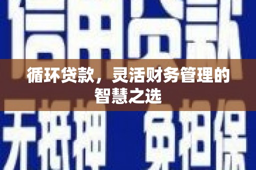 蚌埠循环贷款，灵活财务管理的智慧之选