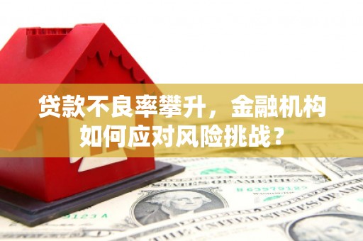 蚌埠贷款不良率攀升，金融机构如何应对风险挑战？