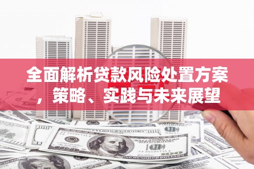 蚌埠全面解析贷款风险处置方案，策略、实践与未来展望