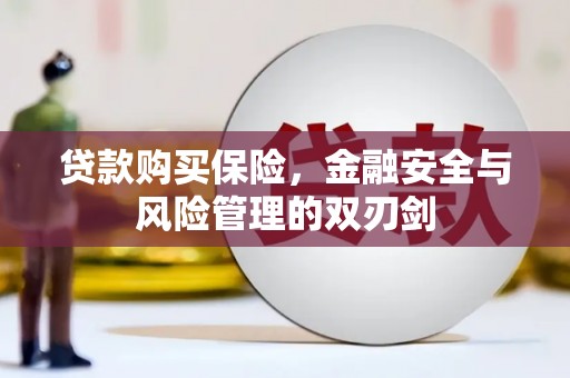 蚌埠贷款购买保险，金融安全与风险管理的双刃剑