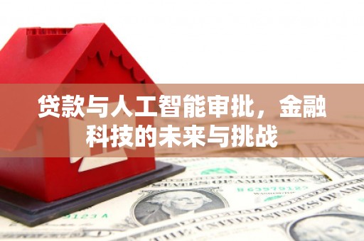 蚌埠贷款与人工智能审批，金融科技的未来与挑战