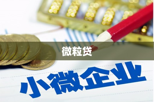蚌埠微粒贷