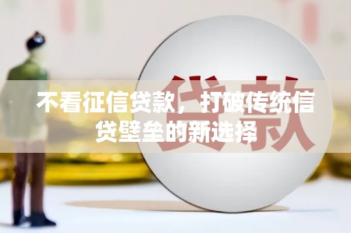 蚌埠不看征信贷款，打破传统信贷壁垒的新选择