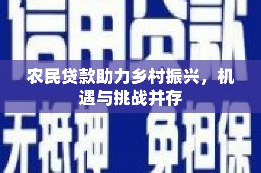 蚌埠农民贷款助力乡村振兴，机遇与挑战并存