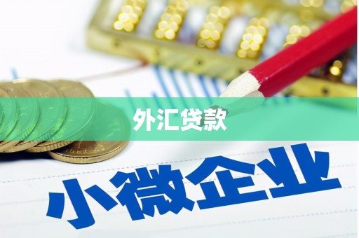 蚌埠外汇贷款