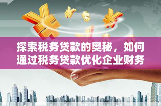 蚌埠探索税务贷款的奥秘，如何通过税务贷款优化企业财务