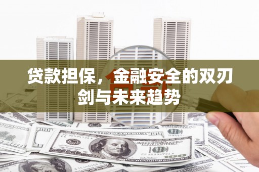 蚌埠贷款担保，金融安全的双刃剑与未来趋势