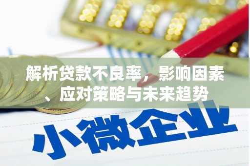 蚌埠解析贷款不良率，影响因素、应对策略与未来趋势