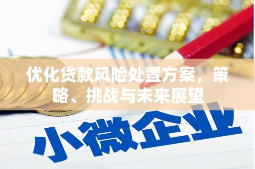 蚌埠优化贷款风险处置方案，策略、挑战与未来展望