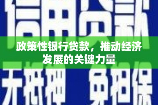 蚌埠政策性银行贷款，推动经济发展的关键力量