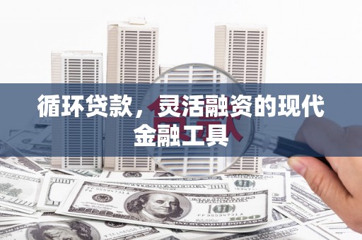 蚌埠循环贷款，灵活融资的现代金融工具