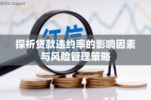 蚌埠探析贷款违约率的影响因素与风险管理策略