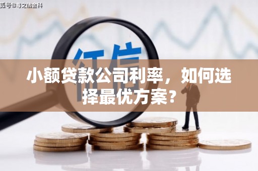 蚌埠小额贷款公司利率，如何选择最优方案？