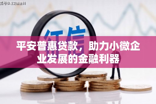蚌埠平安普惠贷款，助力小微企业发展的金融利器