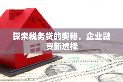 蚌埠探索税务贷的奥秘，企业融资新选择