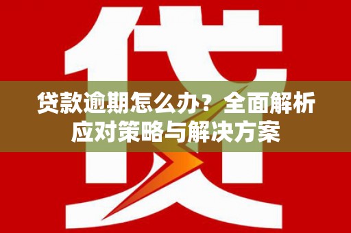 蚌埠贷款逾期怎么办？全面解析应对策略与解决方案