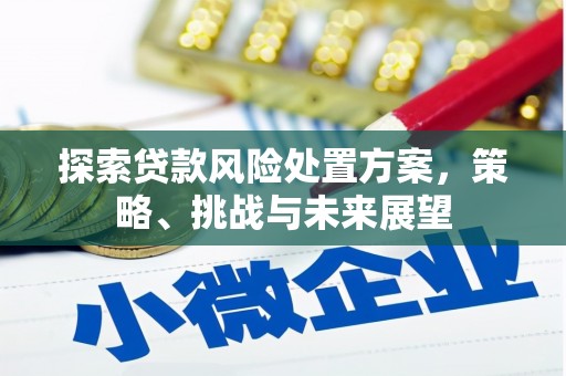 蚌埠探索贷款风险处置方案，策略、挑战与未来展望