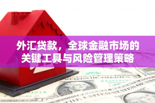 蚌埠外汇贷款，全球金融市场的关键工具与风险管理策略