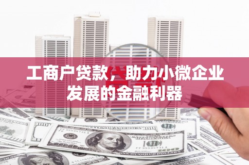 蚌埠工商户贷款，助力小微企业发展的金融利器