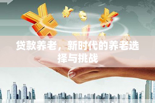 蚌埠贷款养老，新时代的养老选择与挑战