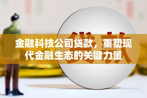 蚌埠金融科技公司贷款，重塑现代金融生态的关键力量