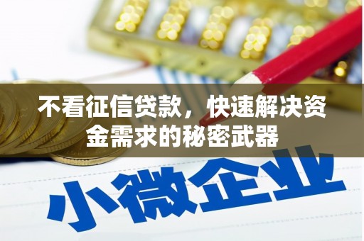蚌埠不看征信贷款，快速解决资金需求的秘密武器