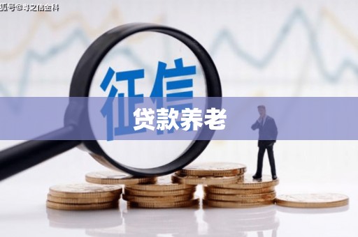 蚌埠贷款养老