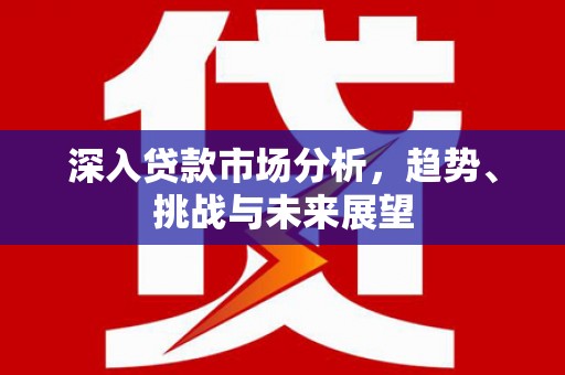 蚌埠深入贷款市场分析，趋势、挑战与未来展望