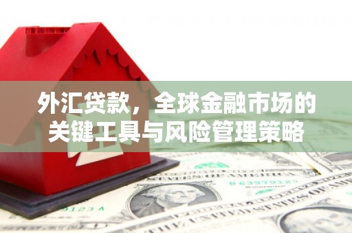 蚌埠外汇贷款，全球金融市场的关键工具与风险管理策略