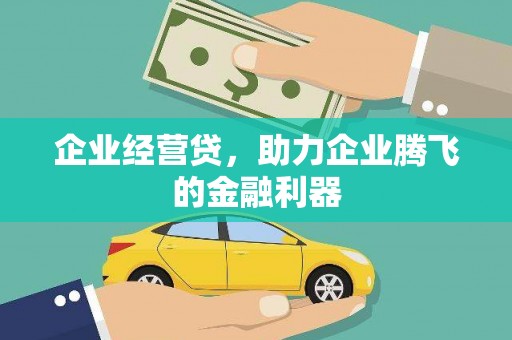 蚌埠企业经营贷，助力企业腾飞的金融利器