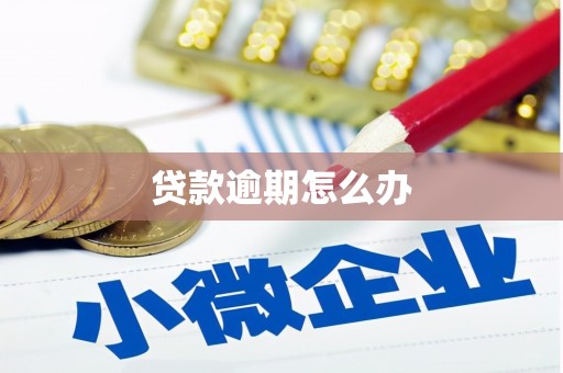 蚌埠贷款逾期怎么办