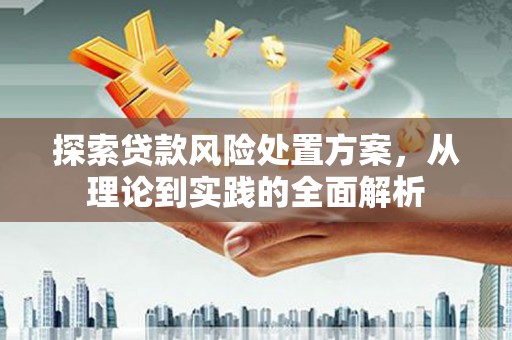 蚌埠探索贷款风险处置方案，从理论到实践的全面解析