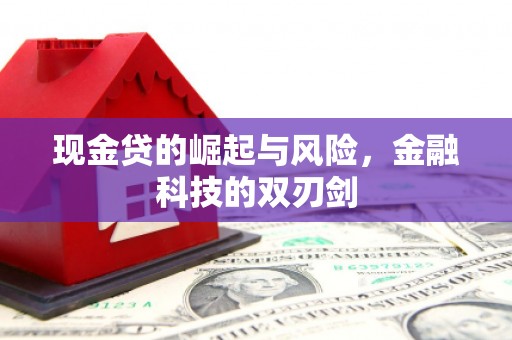 蚌埠现金贷的崛起与风险，金融科技的双刃剑