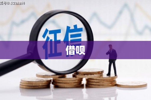 蚌埠借呗