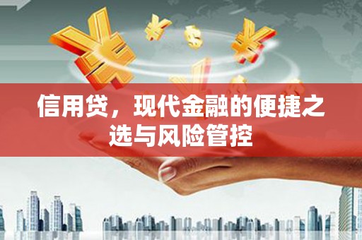 蚌埠信用贷，现代金融的便捷之选与风险管控