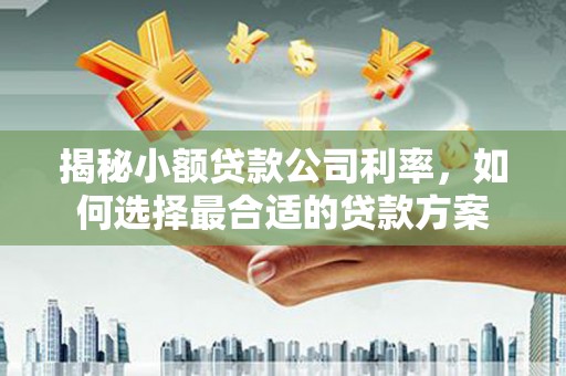蚌埠揭秘小额贷款公司利率，如何选择最合适的贷款方案