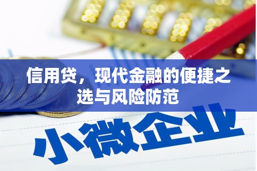蚌埠信用贷，现代金融的便捷之选与风险防范