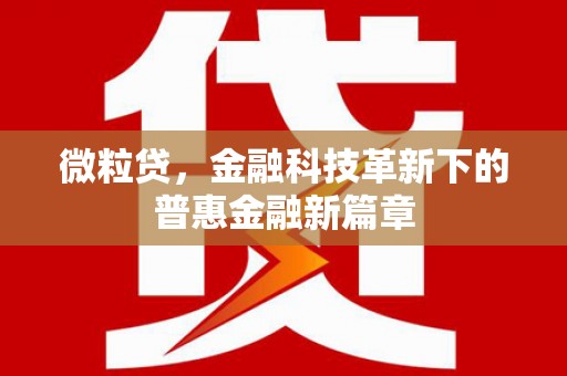 蚌埠微粒贷，金融科技革新下的普惠金融新篇章