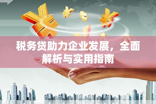 蚌埠税务贷助力企业发展，全面解析与实用指南