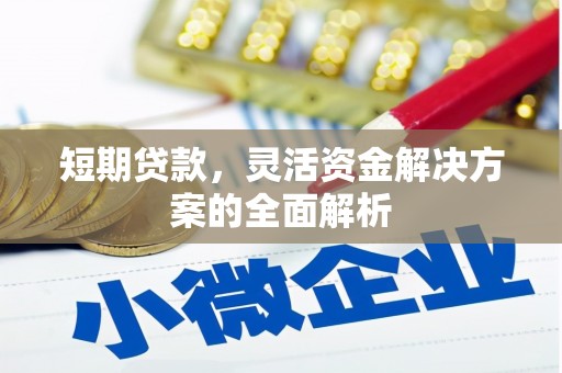 蚌埠短期贷款，灵活资金解决方案的全面解析