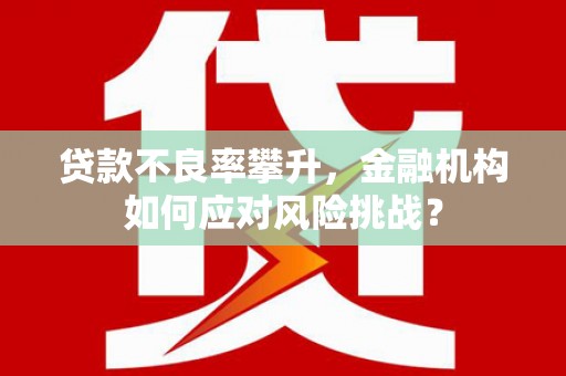 蚌埠贷款不良率攀升，金融机构如何应对风险挑战？