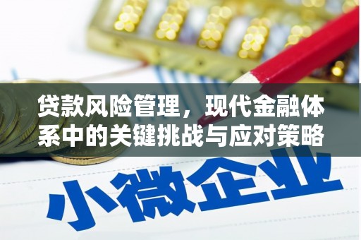 蚌埠贷款风险管理，现代金融体系中的关键挑战与应对策略