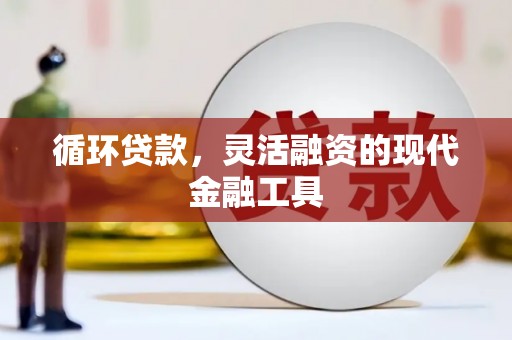 蚌埠循环贷款，灵活融资的现代金融工具
